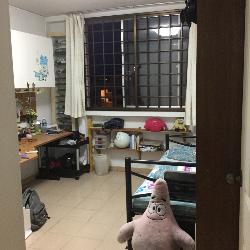 Blk 837 Tampines Street 83 (Tampines), HDB 4 Rooms #46942342